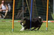 IMG_8684