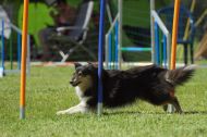 IMG_8686
