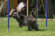 IMG_8694