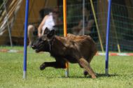 IMG_8704