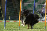 IMG_8709