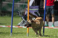 IMG_8725