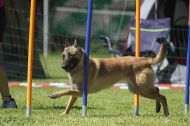 IMG_8727