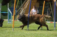 IMG_8740