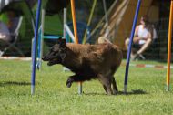 IMG_8741
