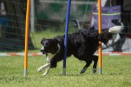 IMG_8744