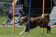 IMG_8751