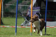 IMG_8752
