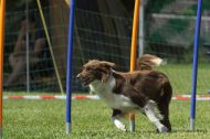 IMG_8753