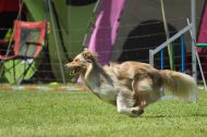 IMG_8776