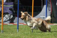 IMG_8777