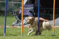 IMG_8778