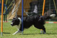 IMG_8790