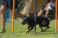IMG_8808
