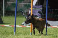 IMG_8812