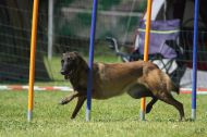 IMG_8813