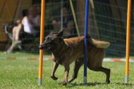 IMG_8814