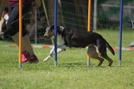 IMG_8824