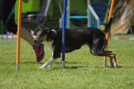 IMG_8827