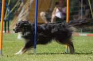 IMG_8847