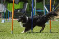 IMG_8848