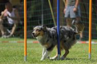 IMG_8856