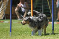 IMG_8857