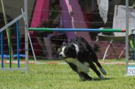 IMG_8860