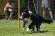 IMG_8863