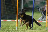 IMG_8869