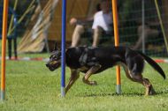 IMG_8871