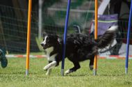IMG_8878